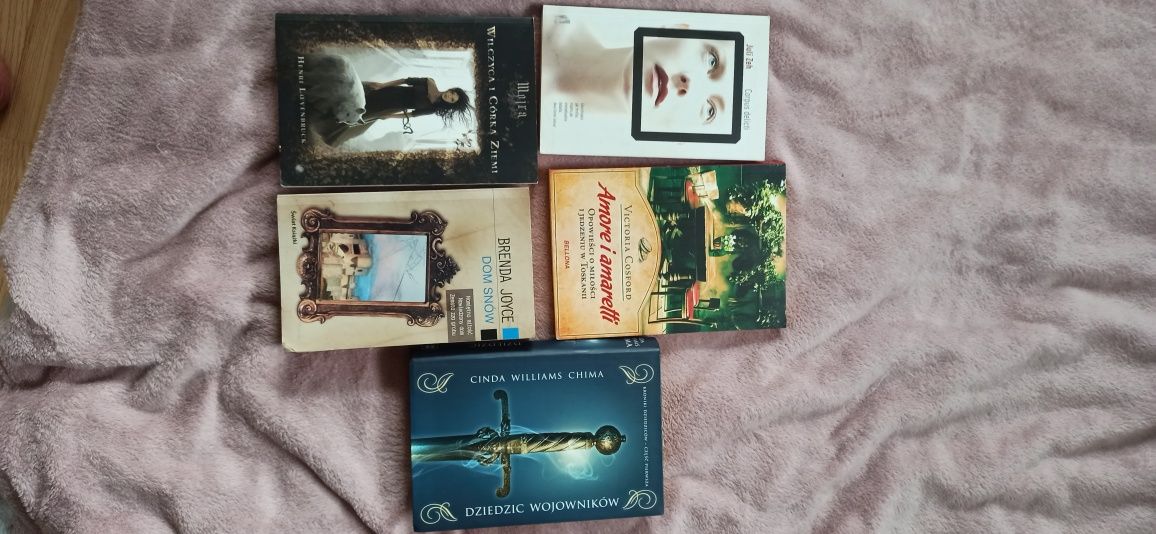 5 książek fantasy, romans, thriller. Dom snów, dziedzic wojowników