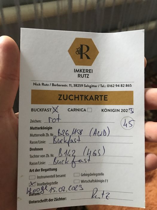 Бджоломатки БАКФАСТ F1 2025