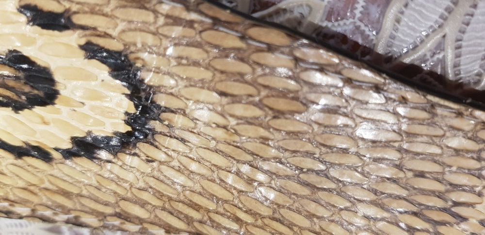 Продам ремень из натуральной кожы змеи, кобры!