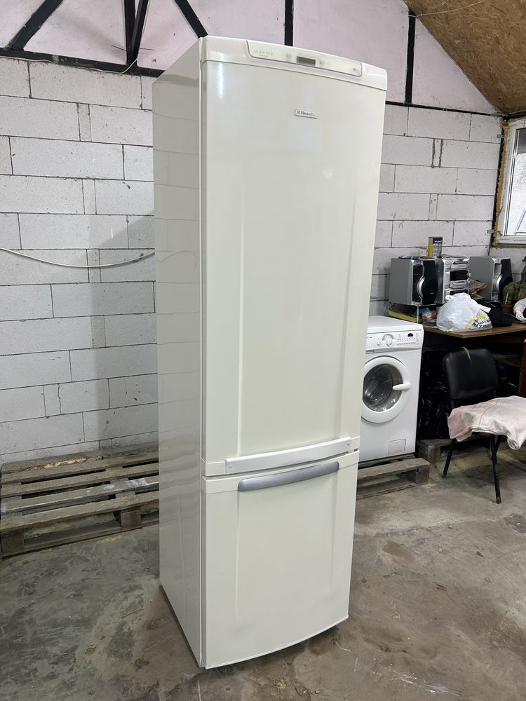 Двухкомпрессорный холодильник Electrolux ERB40402W8.Высота 2 метра!