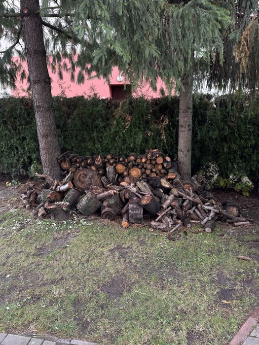 drewno czereśnia (drewno z drzewa czereśniowego)