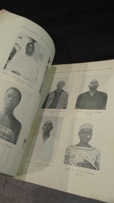 III Estudos Psicotécnicos: Nível Intelectual de tribos de Moçambique