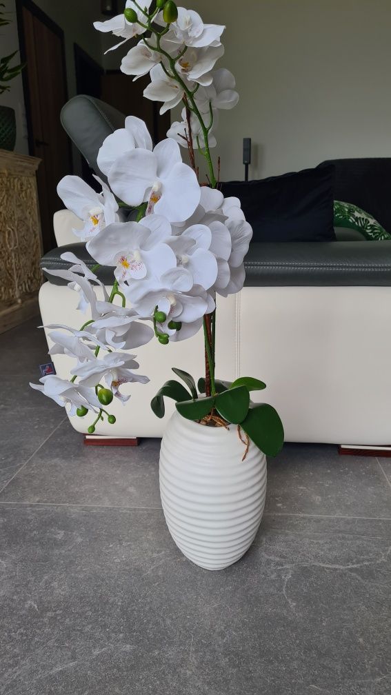 Magnolia Home&you