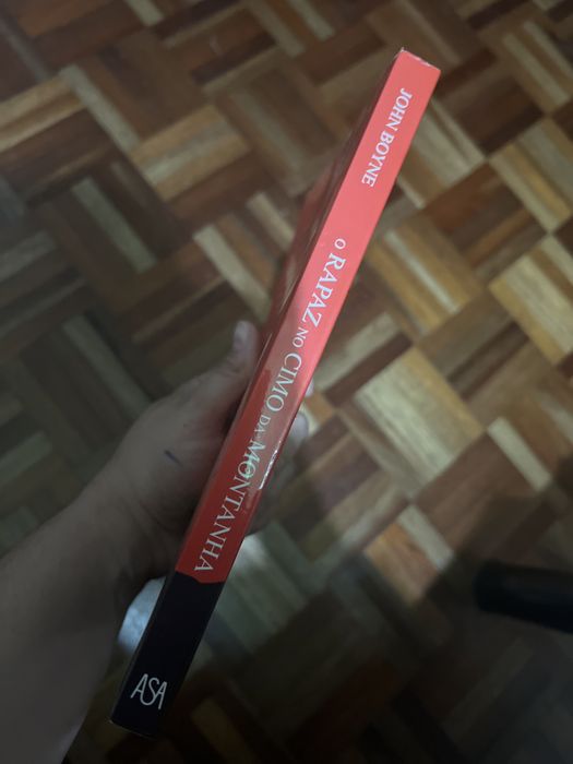 Livro o Rapaz no Cimo da Montanha