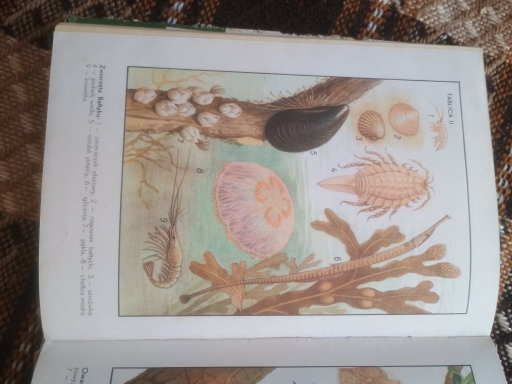 Zoologia kl. 7 - 1973r.