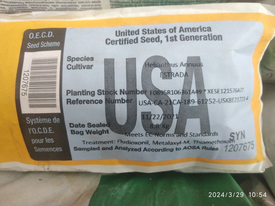Семена подсолнуха Estrada Cruiser