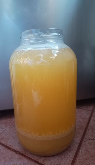 Ocet jabłkowy tegoroczny