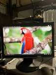 Monitory do komputera