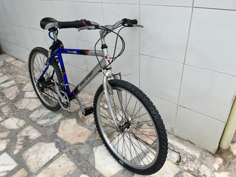 Bicicleta adulto