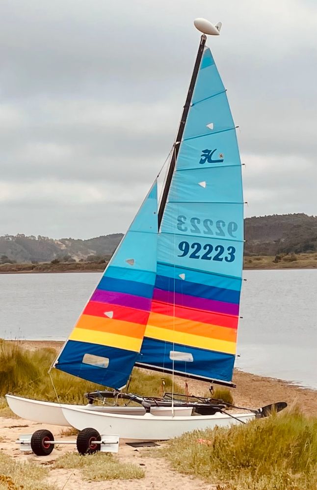 Hobie cat 16 catamarã