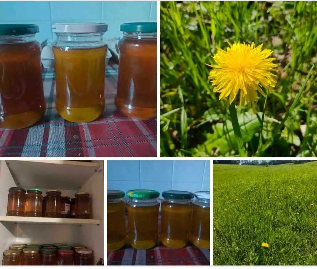 Miód /Syrop mniszkowy tegoroczny
