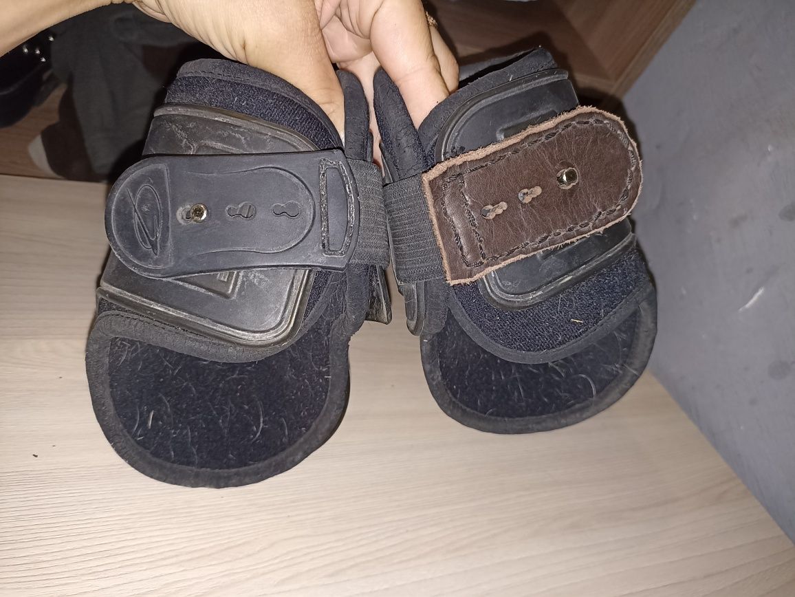 Збруя для лошади, амуниция