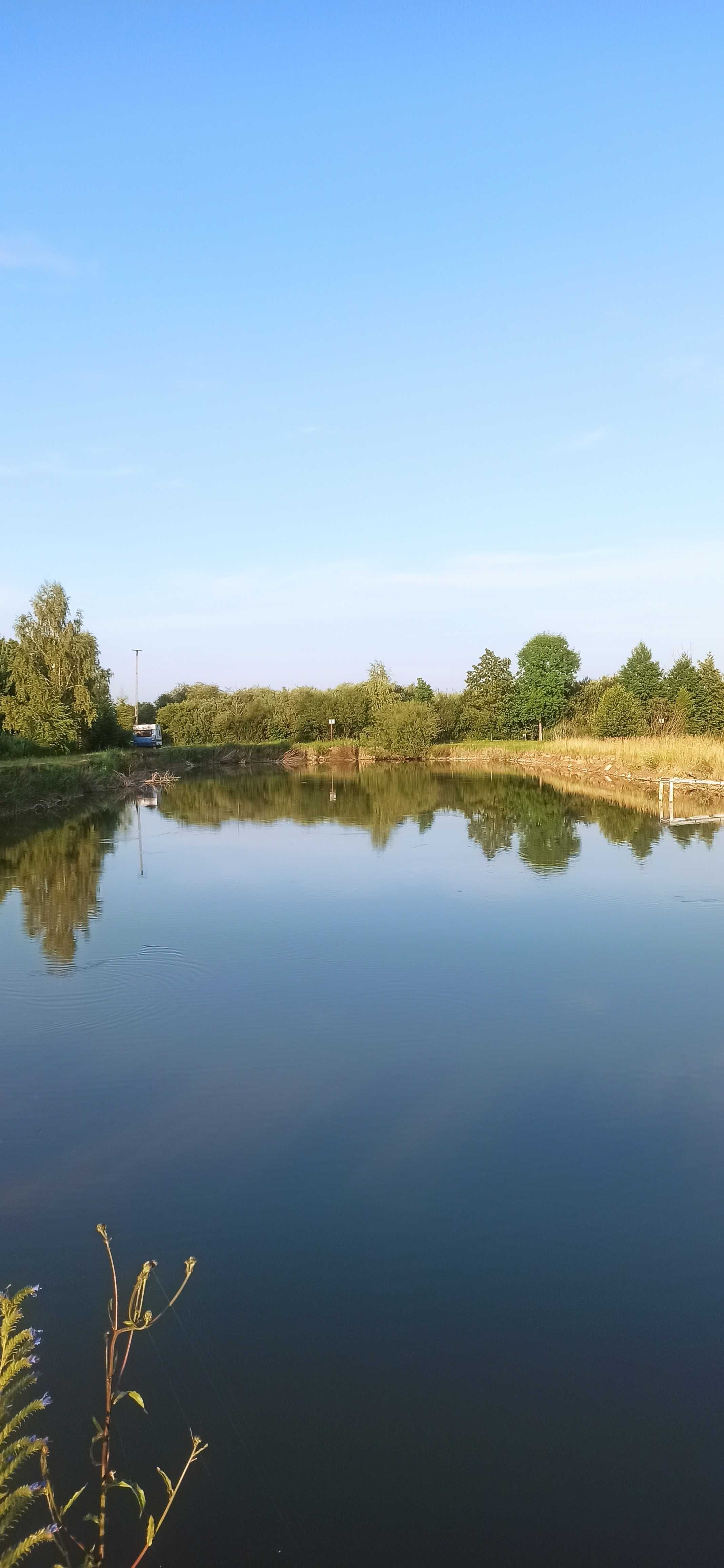 Stawy Rybne pod agroturystykę + Działki