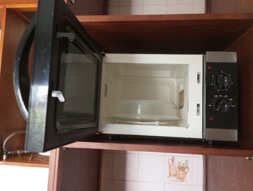 Microondas Flama