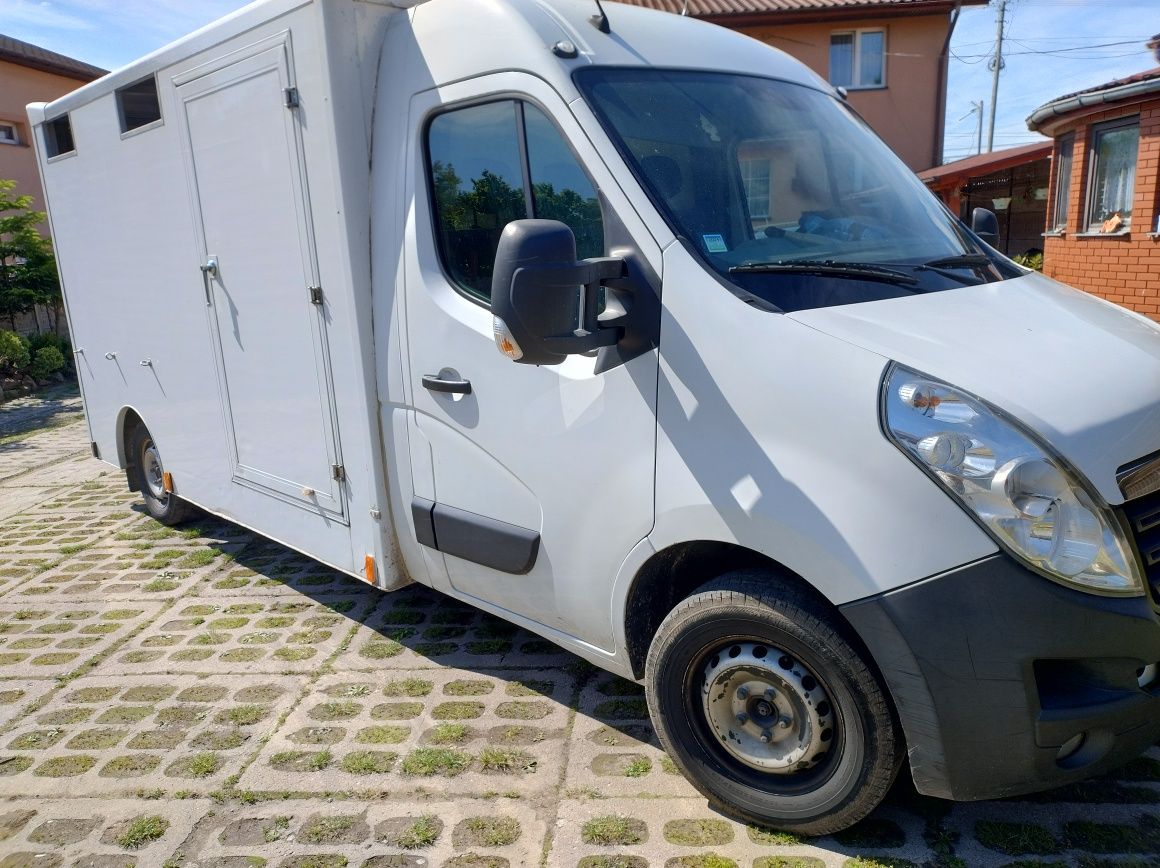 Opel Movano do Żywca bydła zwierząt trzody