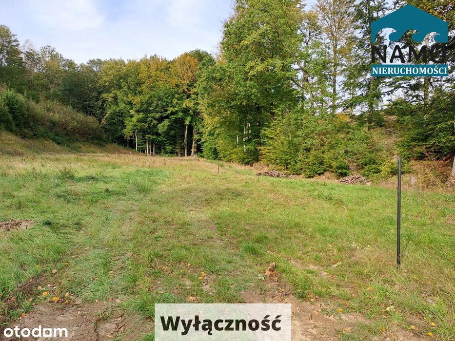 Działki budowlane przy lesie Kostkowo