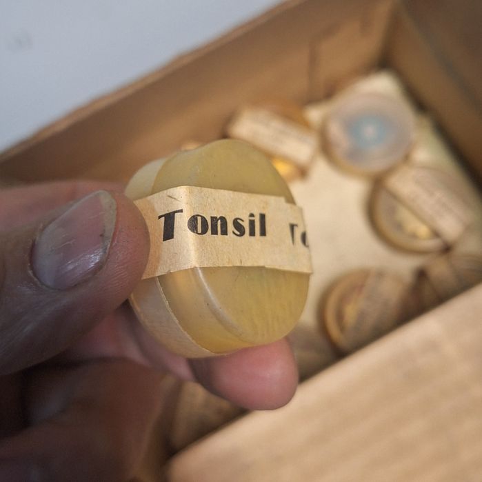 Wkładki mikrofonowe CB 61