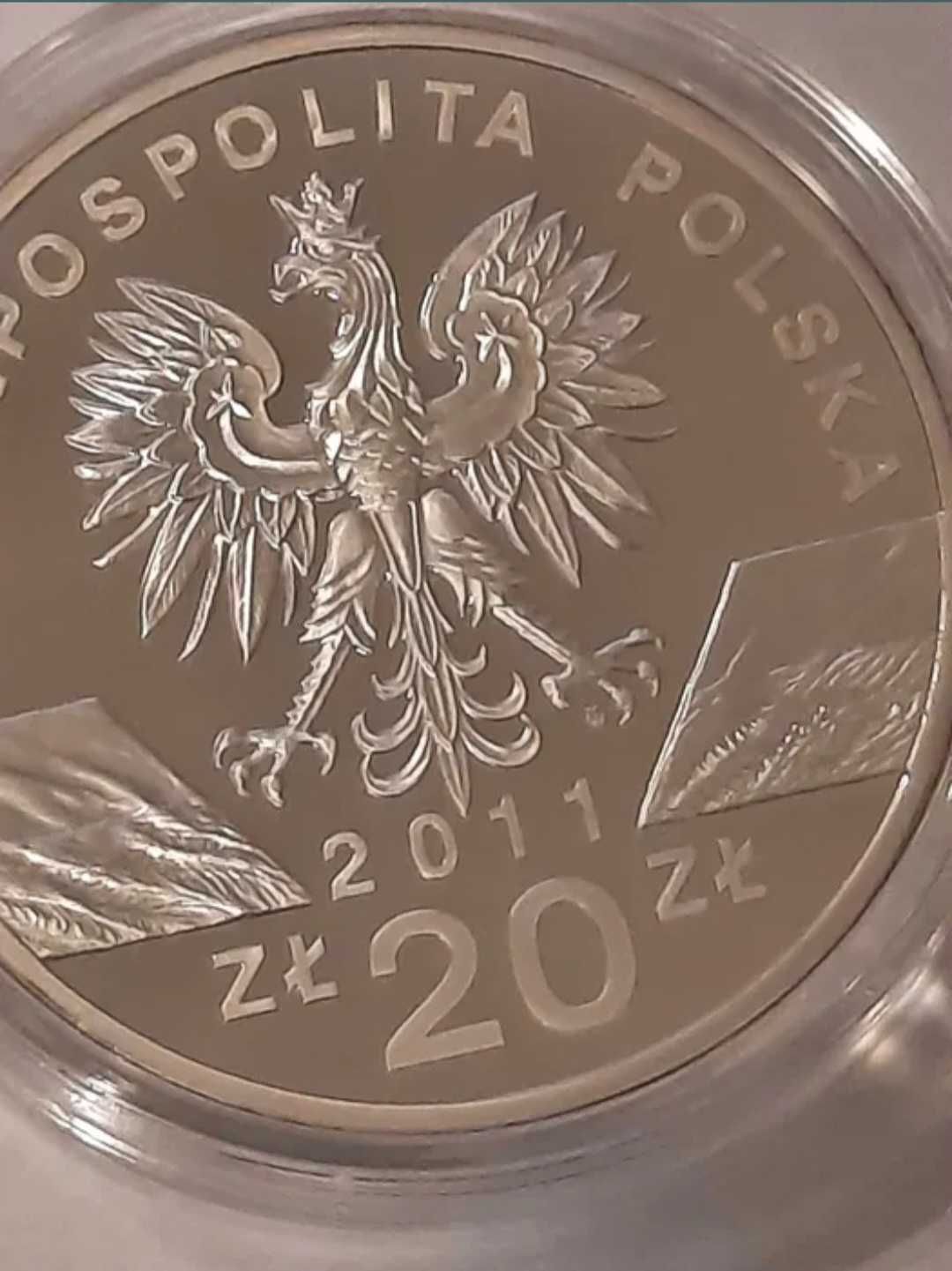 Borsuk, moneta srebrna 20 zł