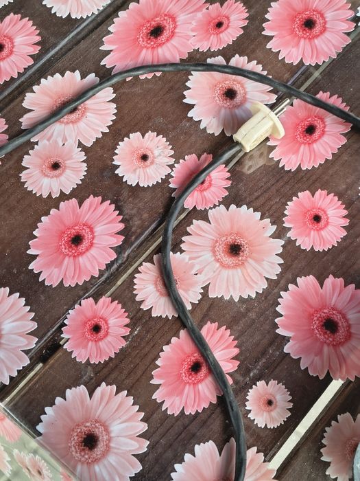 Вафельныца 1988 года в кафе.