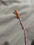 Kabel ajfon lkea używany