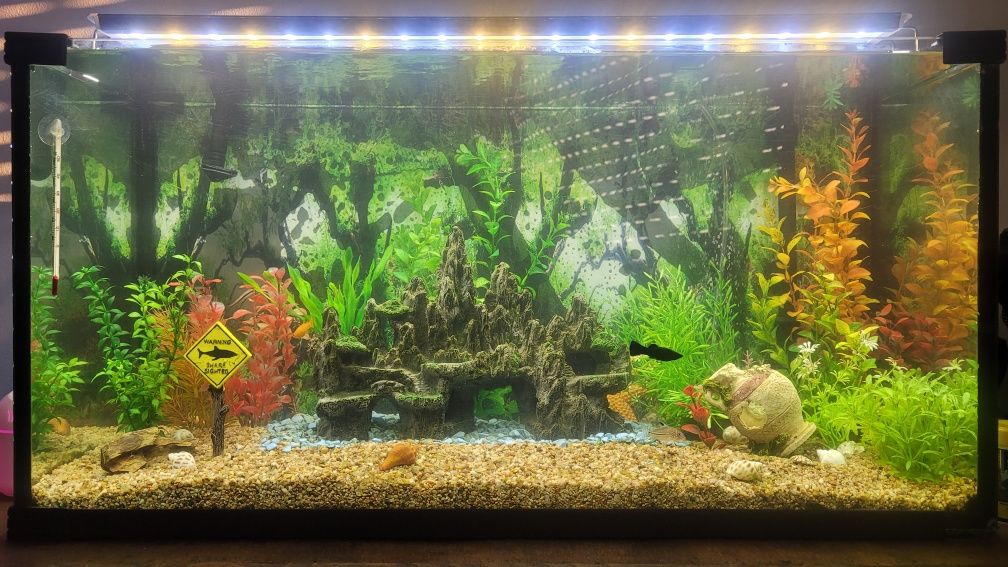 Aquário 100L completo