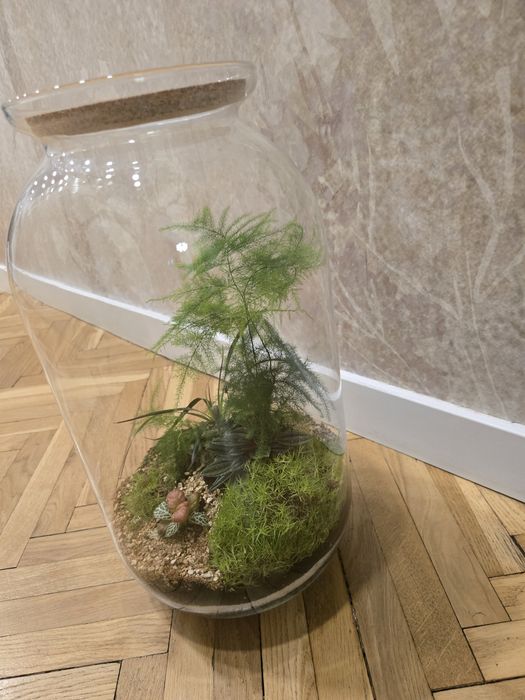 Śliczny Las w szkle