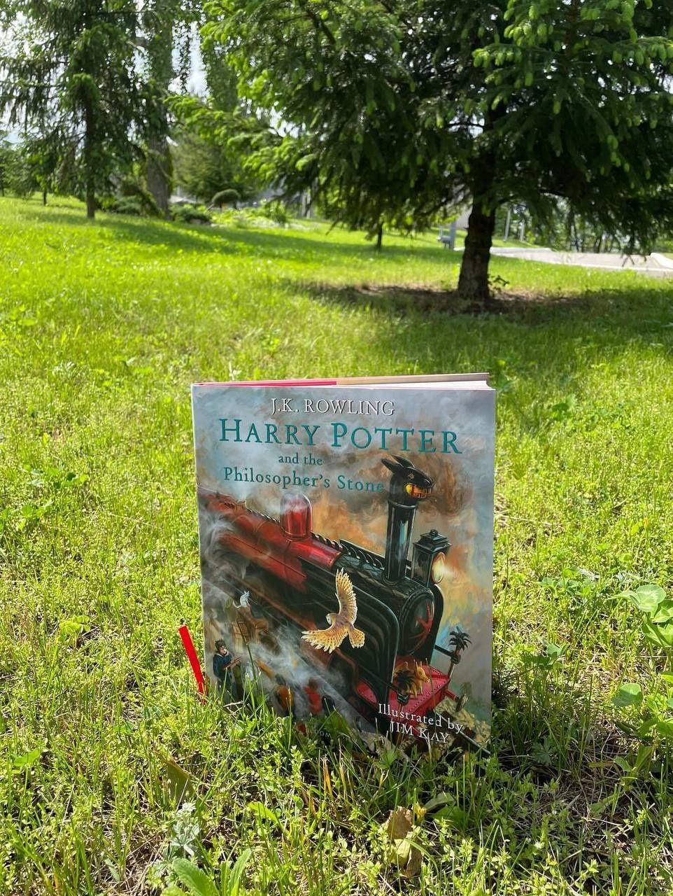 Harry Potter and the Philosopher's Stone(illustrated edition)