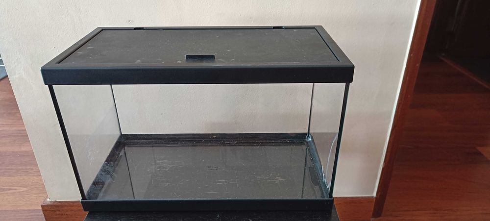 Aquário com acessórios