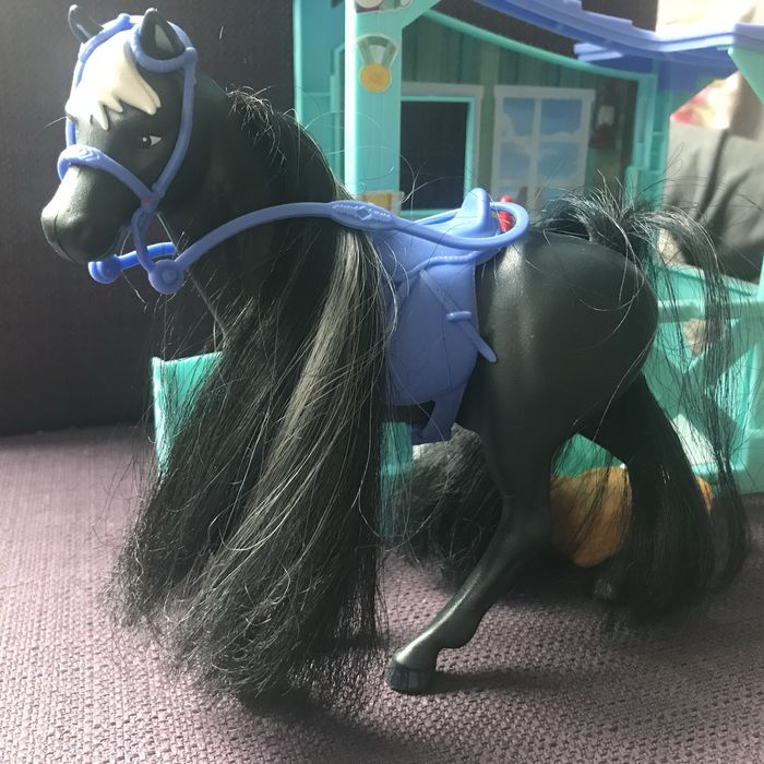 Czarny koń w stajni