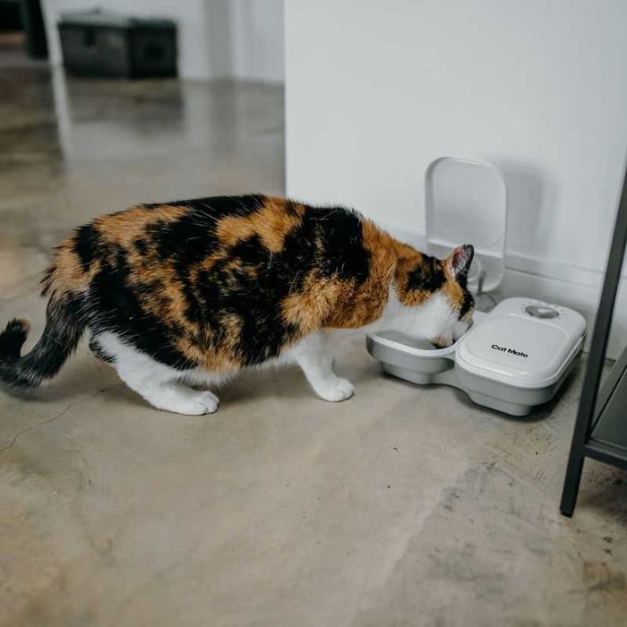 Cat Mate C200, automat na karmę z wkładami chłodzącymi