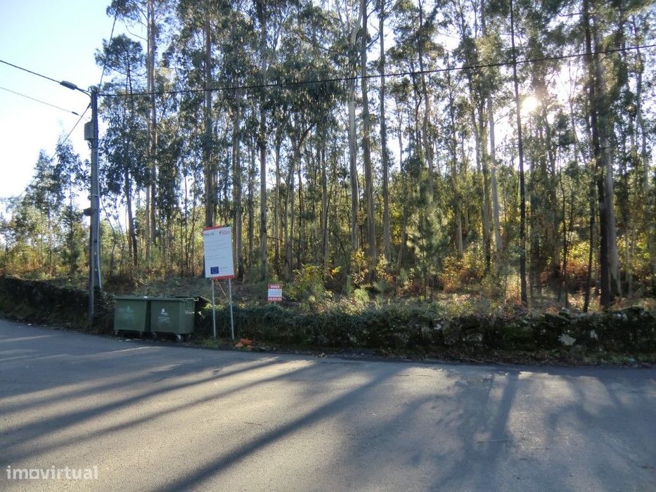 Terreno,Fajões,Oliveira Azemeis