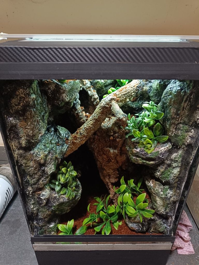 Terrarium 35x35x55 - dla gekona z wyposażeniem