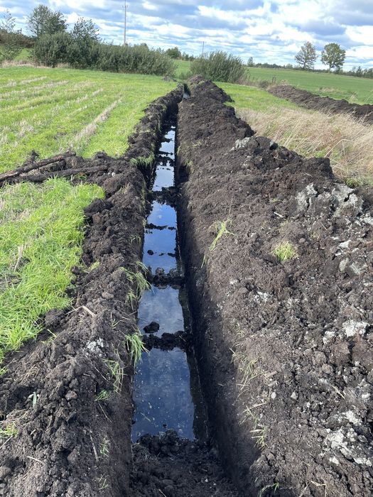 Wynajem mini koparki usługi