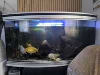 Vendo aquárioAquatlantis 

100x50x40