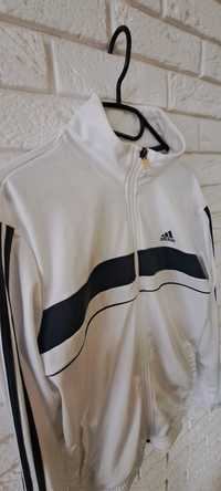 Bluza męska ADIDAS