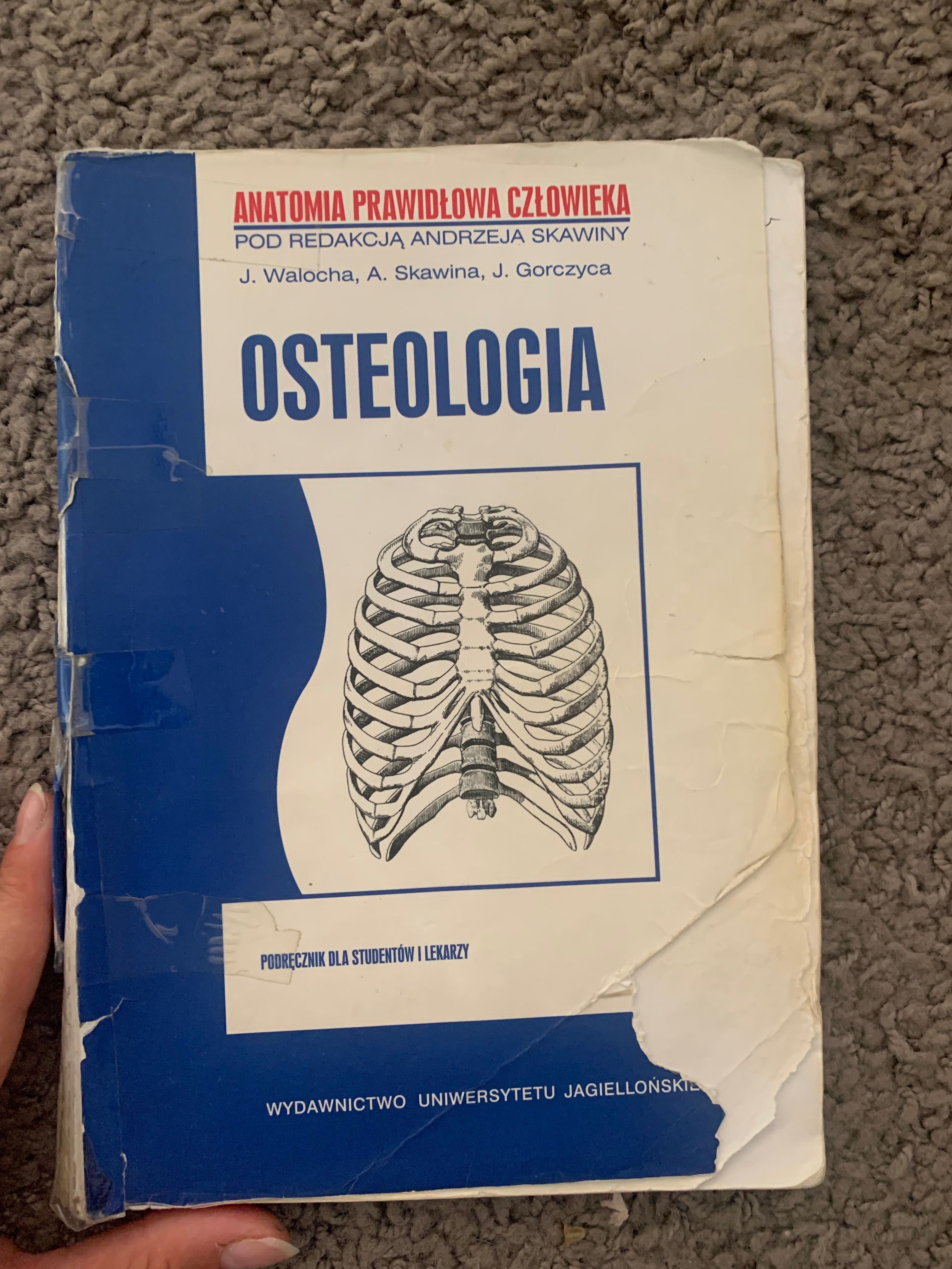 Podręcznik Skawina osteologia