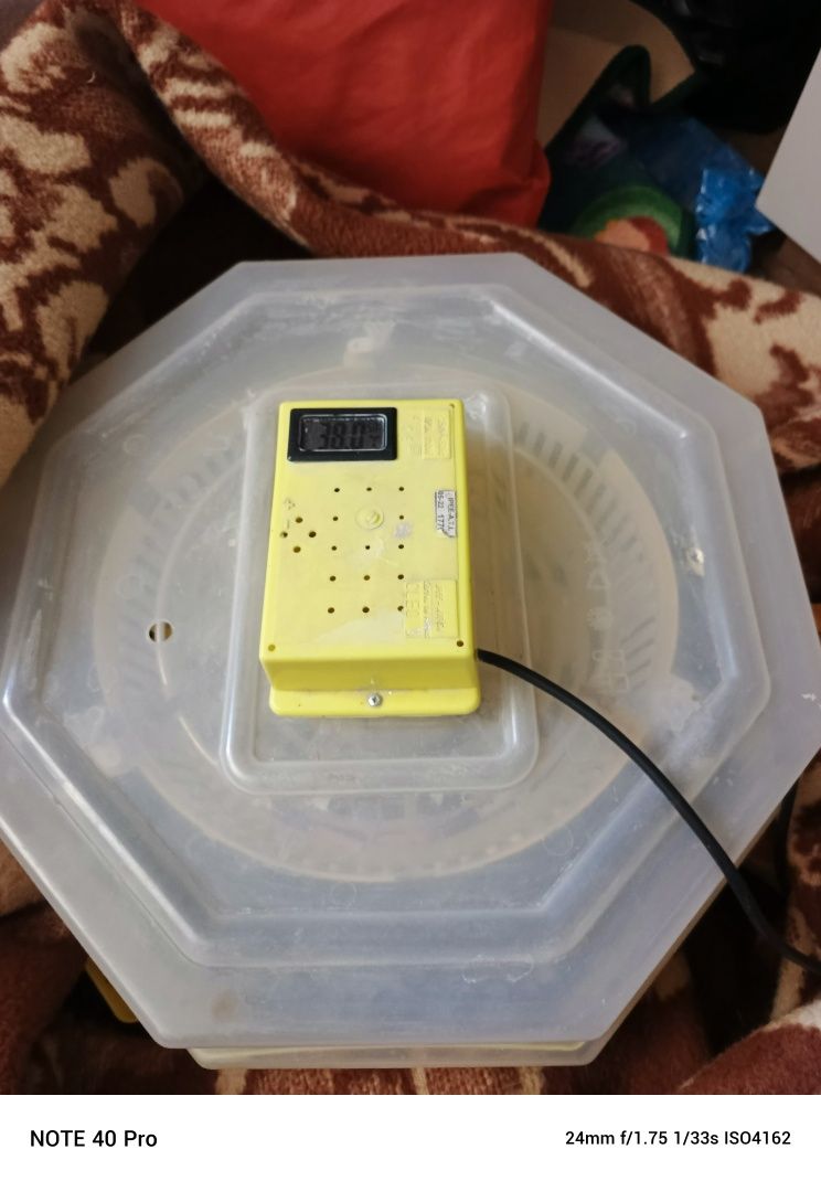 Sprzedam Inkubator Cleo 5 z piętrem i tacami