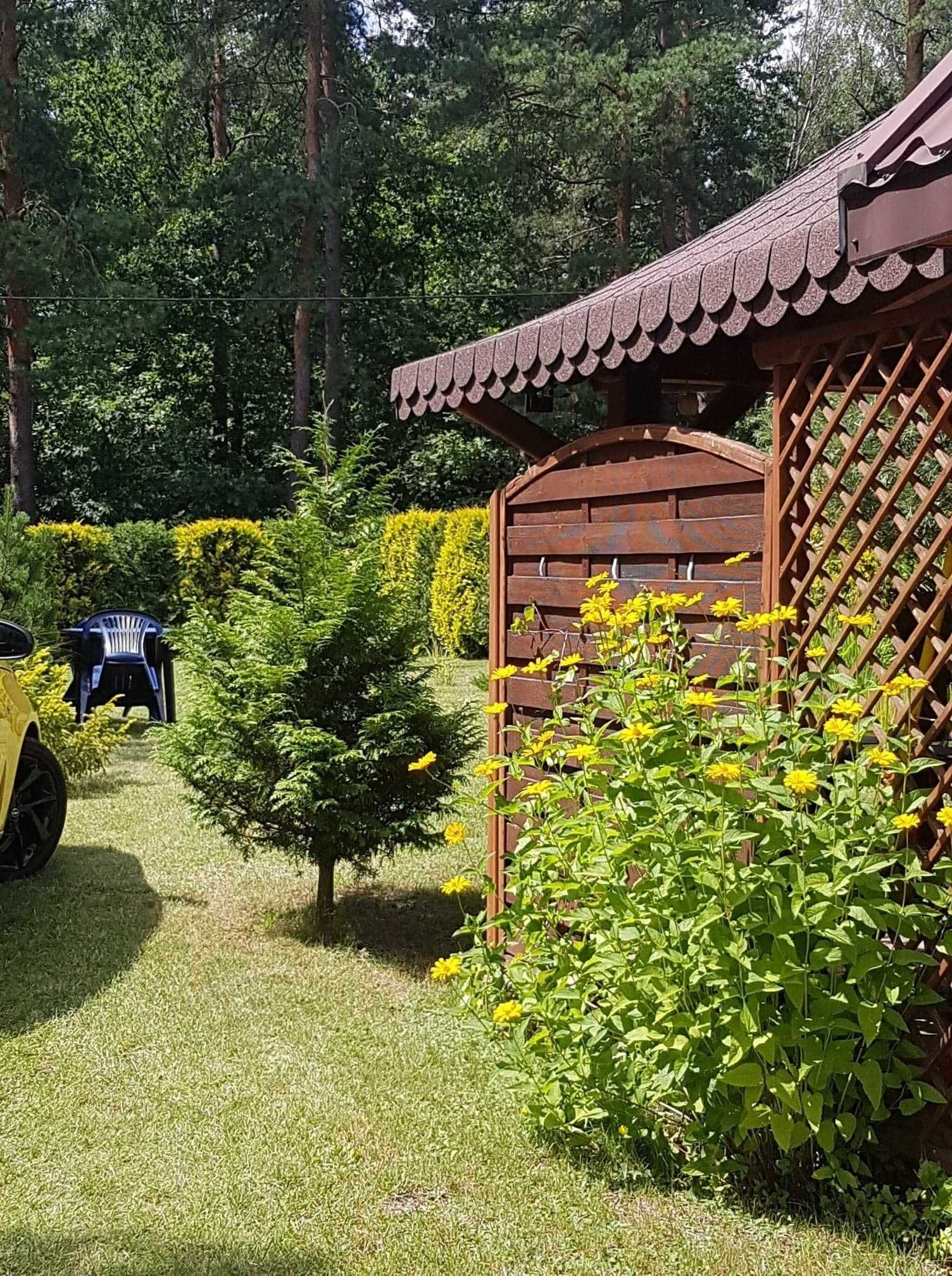 Wynajmę domek letniskowy nad jeziorem