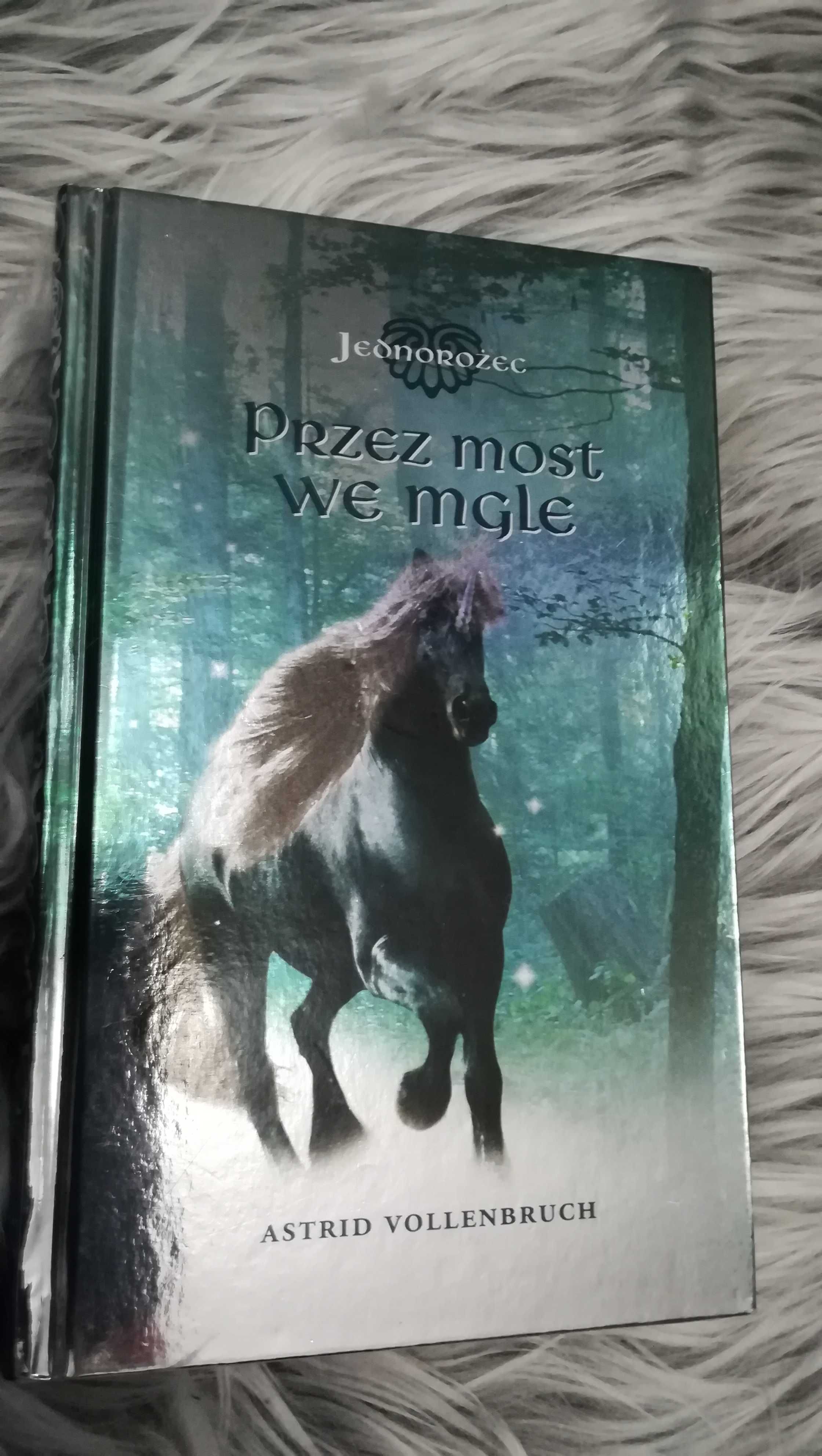 Przez most we mgle Astrid Vollenbruch książka