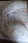 Almofada Gravidez Chicco