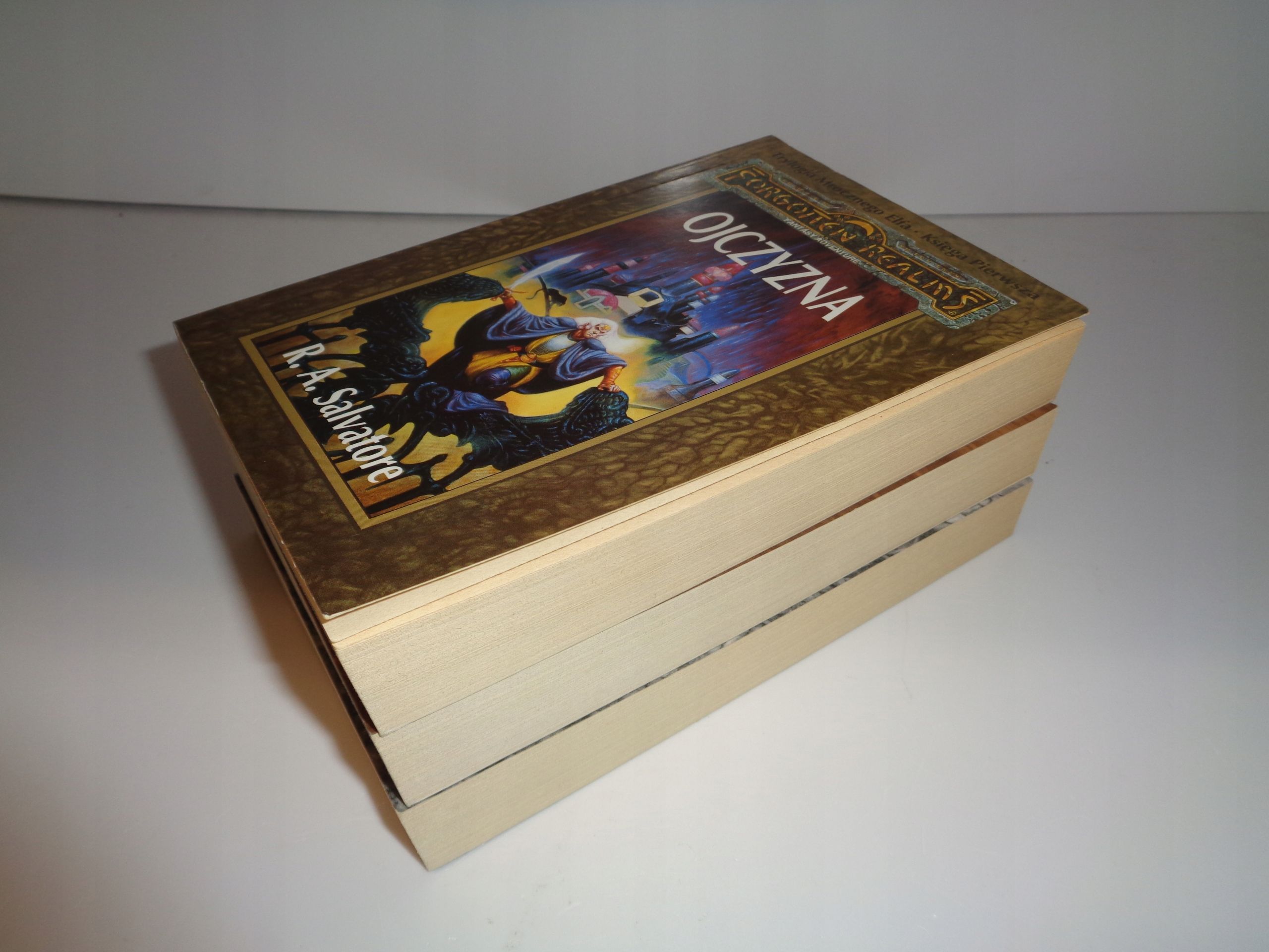 R.A.Salvatore Trylogia Mrocznego Elfa x3: Ojczyzna, Wygnanie, Nowy dom