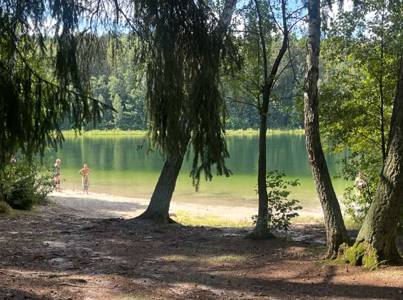 Domek całoroczny z sauną i jacuzzi. Warmia i Mazury. Okolice j. Dadaj