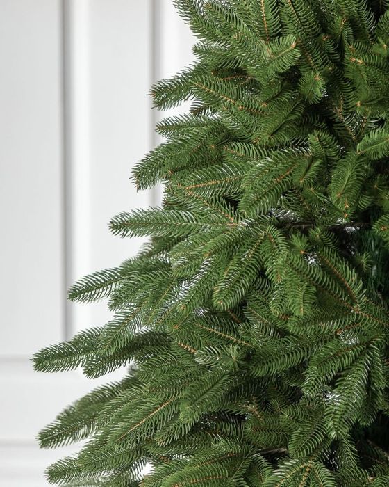 Ялинка лита "Лапландська" Зелена