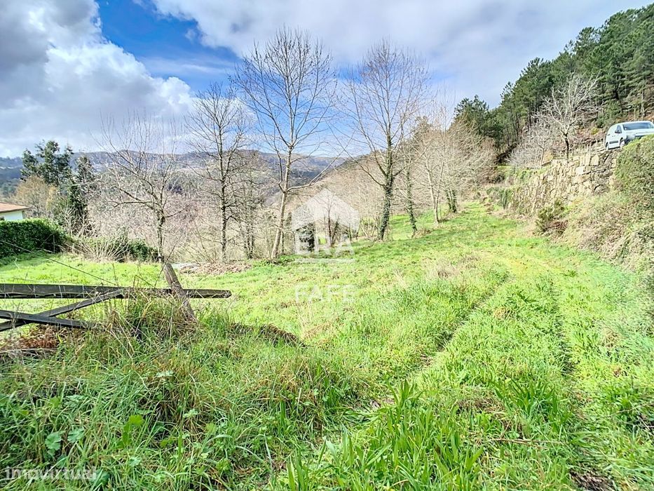 Terreno com a área de 8.100m2 em Cabeceiras de Basto