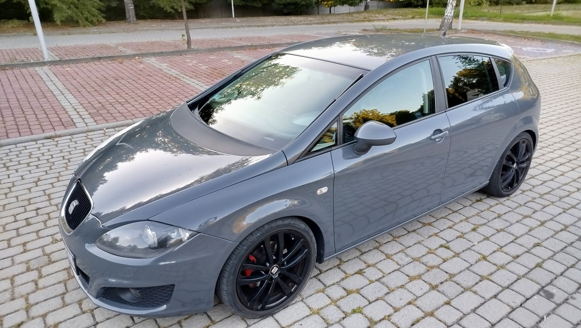Seat leon 2 II 1.8 TSI