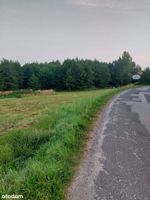 Działka budowlana w Kozłowie w pobliżu Gliwic