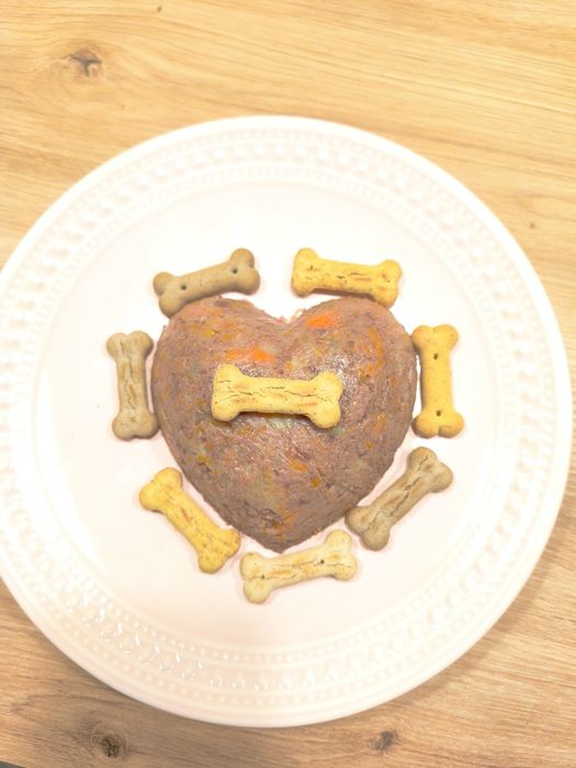 Bolo de Aniversário Canino Saudável e Delicioso!