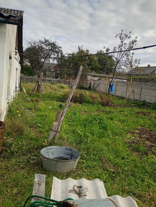 Будинок з присадибною ділянкою