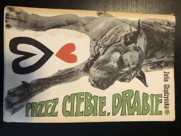 Przez ciebie drabie Zofia Chądzyńska