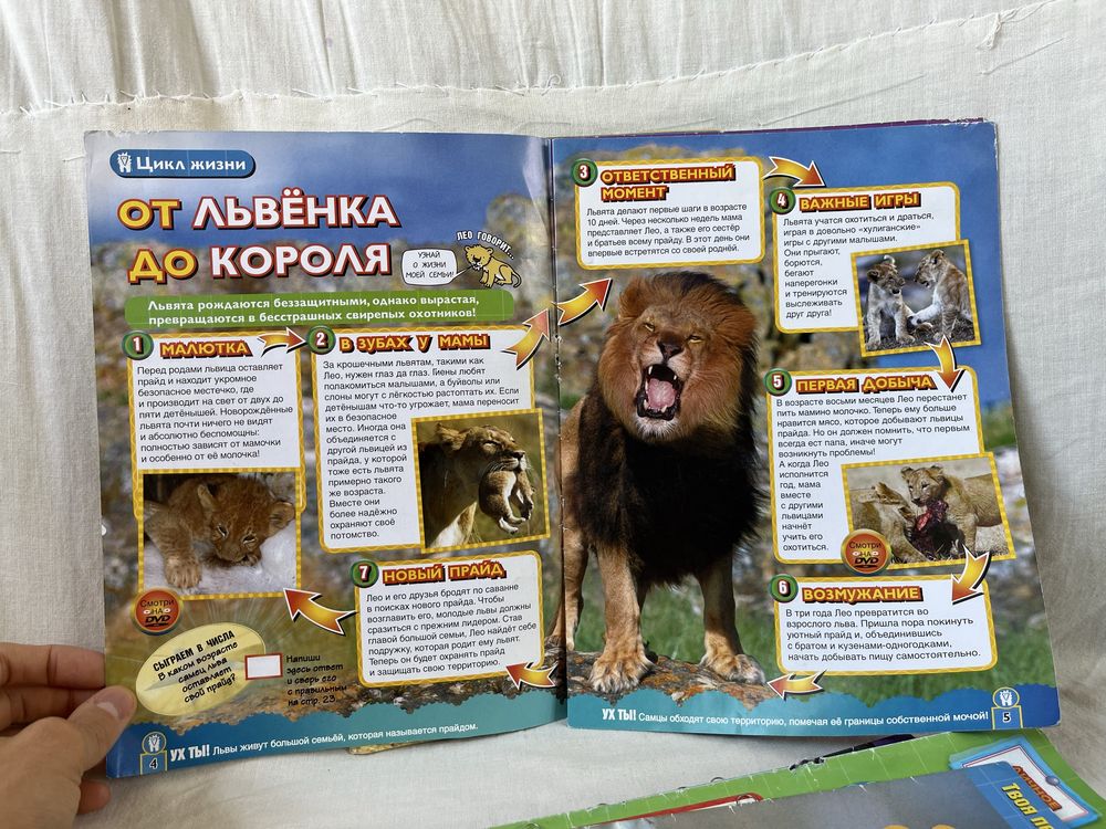 ТВОИ ДРУЗЬЯ ЗВЕРЯТА. Журналы про животных. Животные журнал, книга